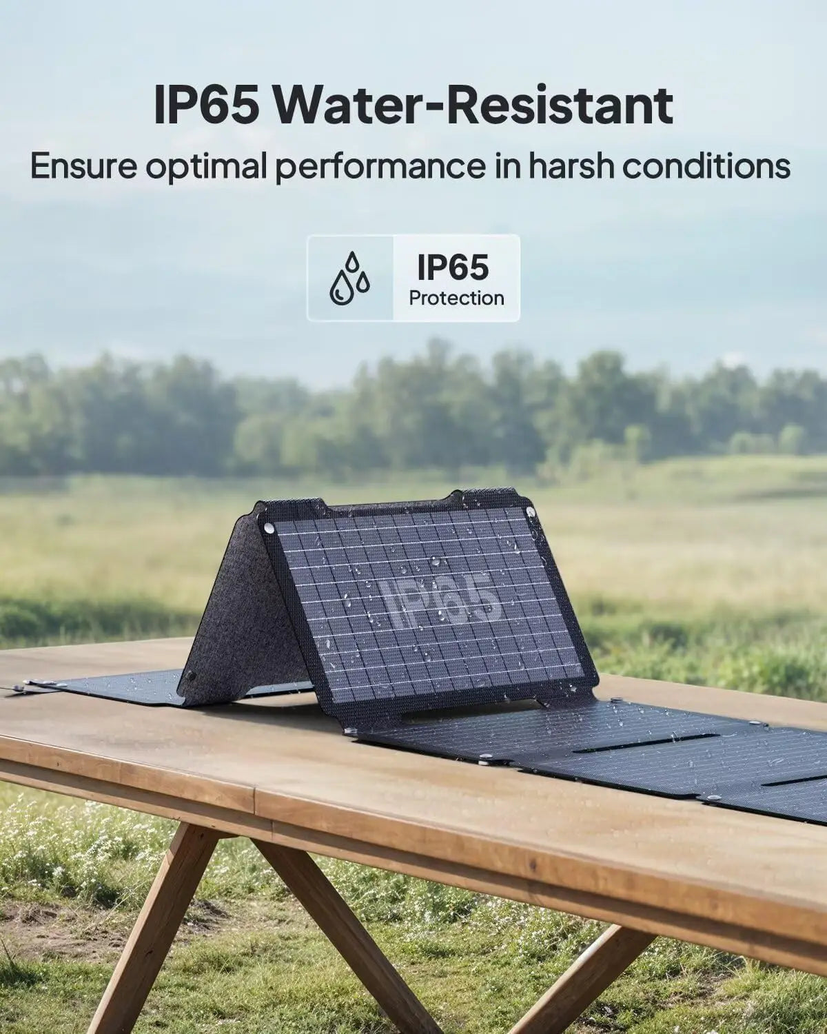 60 Watt Solar Panel