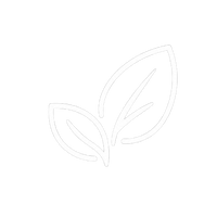Sustainable Gear